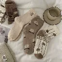 WhatsApp Image 2026-01-10 at 14.11.14 (2).webp